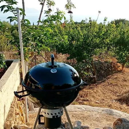 Evelina's View * フィスカルドン